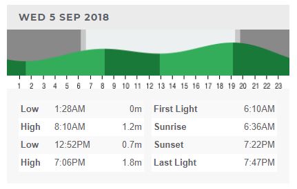 surf beach report