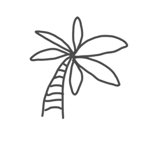 Palmtree drawn