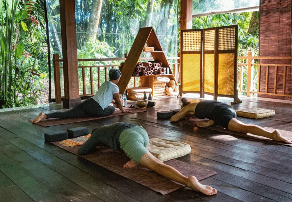 Jungle Shala & Recovery