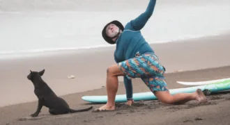 Surfer stretching on the beach before surfing - twoo surfboards next to him and a dog looking at the water